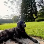 Prázdninový dům La Demoiselle O Bois - Nature Et Confort Aux Portes De Chimay *