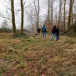 Prázdninový dům La Demoiselle O Bois - Nature Et Confort Aux Portes De Chimay