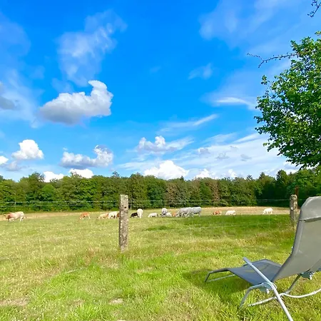 La Demoiselle O Bois - Nature Et Confort Aux Portes De Chimay *