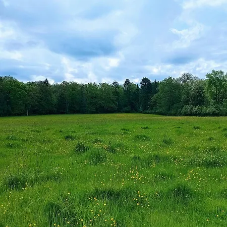 Hébergement de vacances La Demoiselle O Bois - Nature Et Confort Aux Portes De Chimay