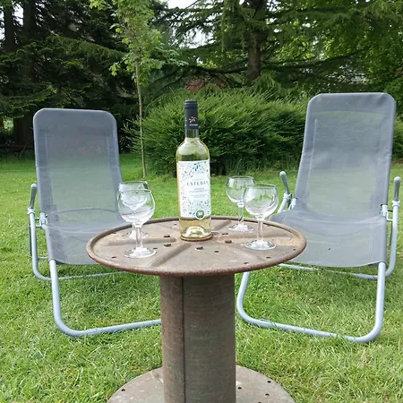 Holiday home La Demoiselle O Bois - Nature Et Confort Aux Portes De Chimay *