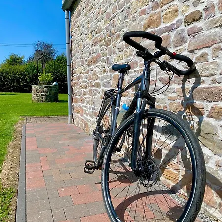 La Demoiselle O Bois - Nature Et Confort Aux Portes De Chimay