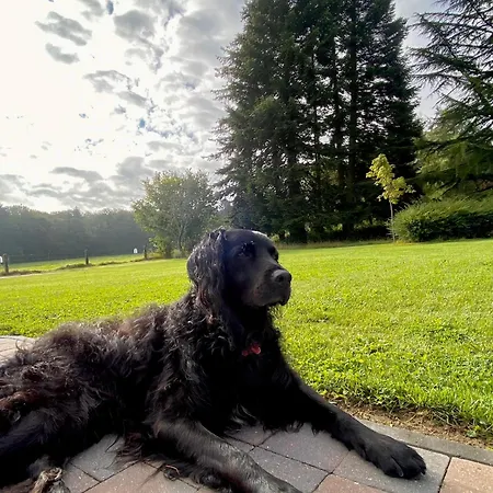 Hébergement de vacances La Demoiselle O Bois - Nature Et Confort Aux Portes De Chimay *