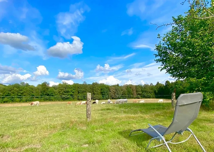 La Demoiselle O Bois - Nature Et Confort Aux Portes De Chimay *