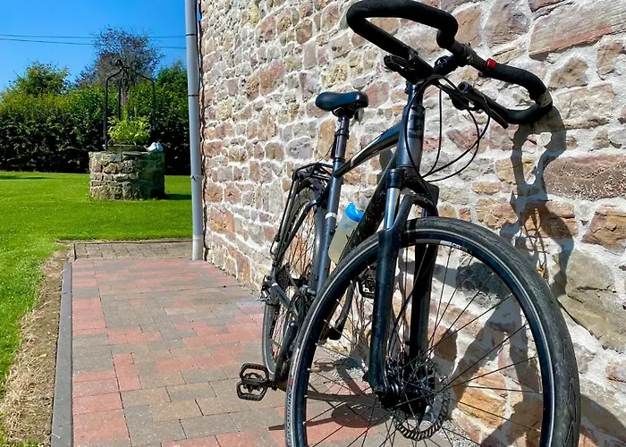 La Demoiselle O Bois - Nature Et Confort Aux Portes De Chimay